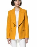 2013 Zara Ceket Modelleri