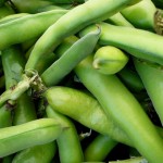 Baklanın Mucizevî Faydaları