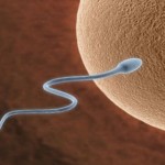 Prof. Dr. Sevtap Hamdemir Kılıç