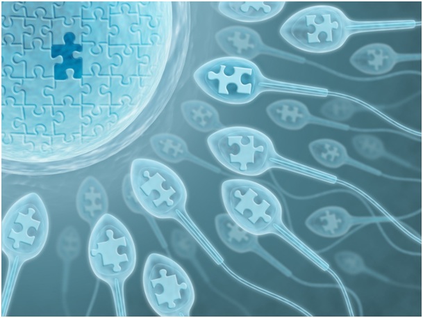 Tüp Bebekte Başarı Mevsimlere Göre Değişir Mi?